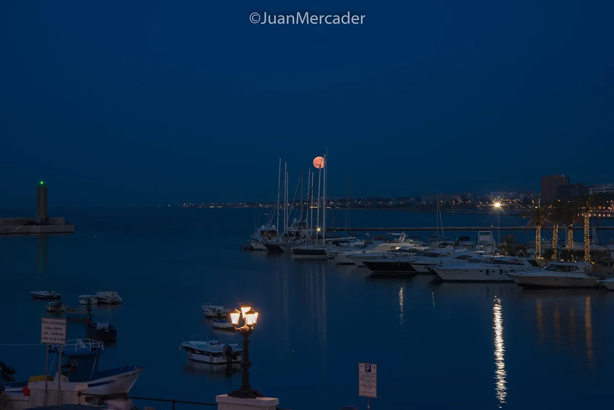 Best Restaurants In Bari Travel Guide